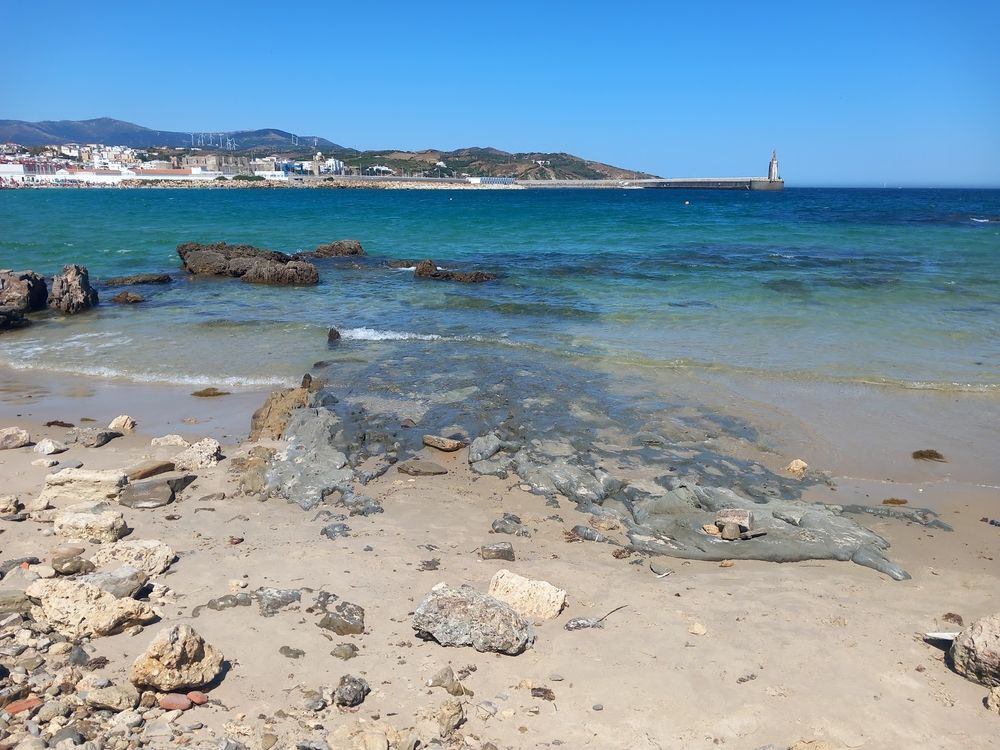 Beach in Tarifa, Spain, with an animal tracksite on the Oligocene clays
