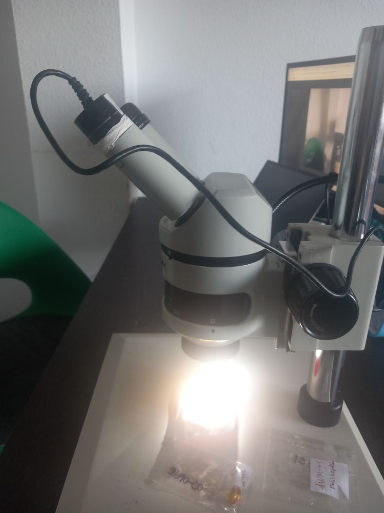 Microscope set up with digital camera and piece of amber under the objctive