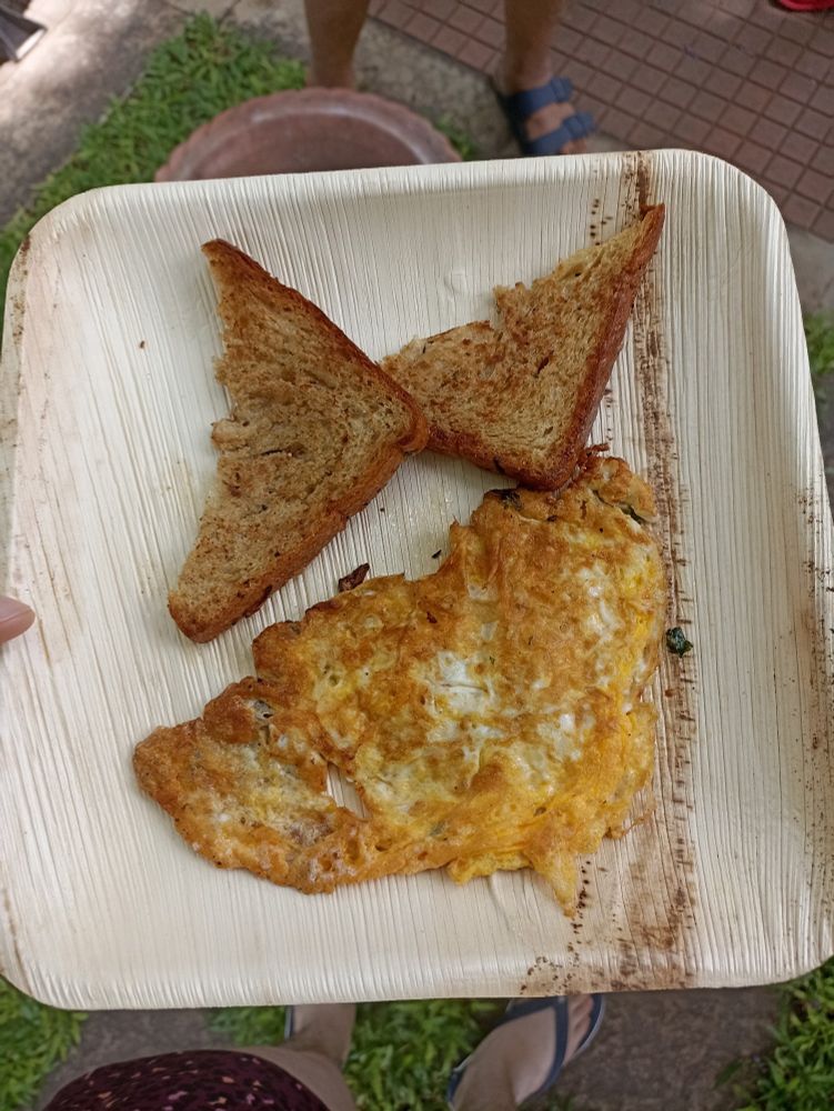 a disposable plate with half an omelette and two pieces of fried bread. in the background: walking paths, grass, and two pairs of legs, one of which is mine.