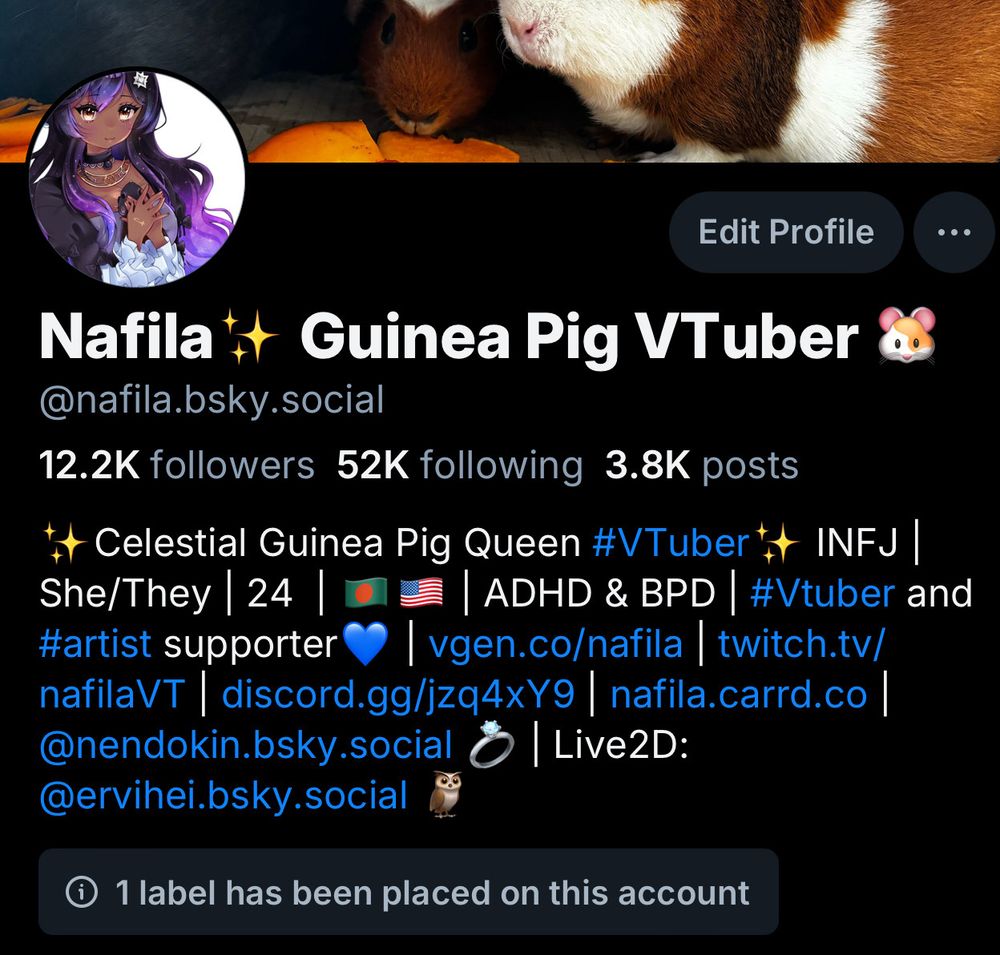 nafila's old account with 12K followers