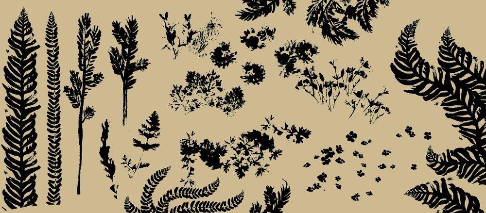 Samples of the brushes included in the set, inky plant shapes in black on a beige background.
