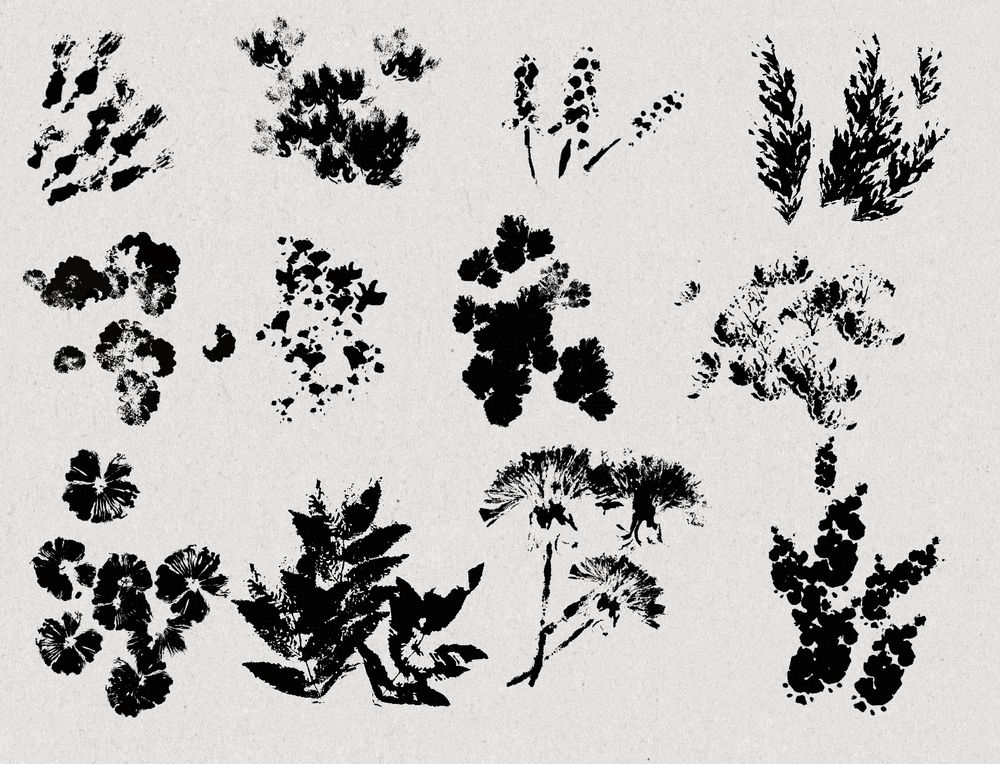 A display of digital brushes from the set, black plant shapes on a beige background.