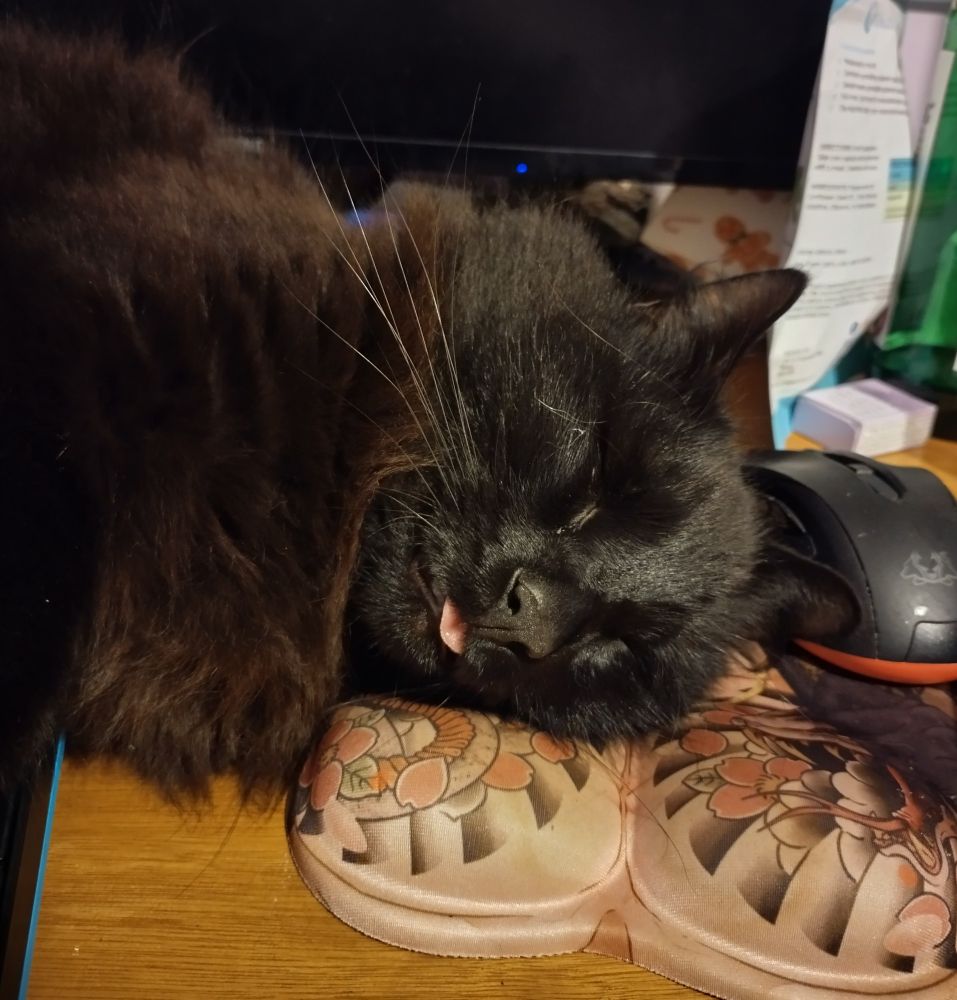 A black long hair cat sleeps with his head resting on a Majima Goromi booby mouse pad. His tongue is sticking out