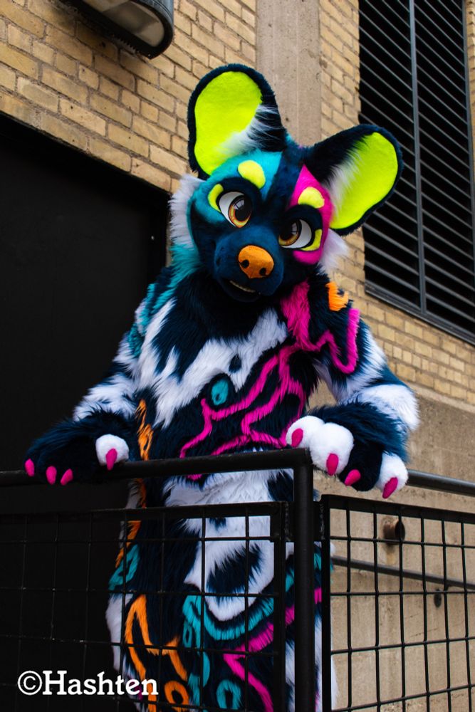 Flicker leaning against a black metal railing