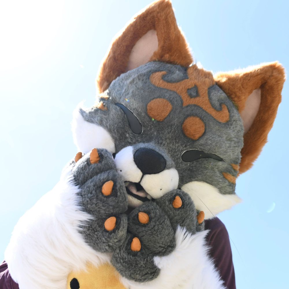 Fox fursuiter standing in front of a blue sky