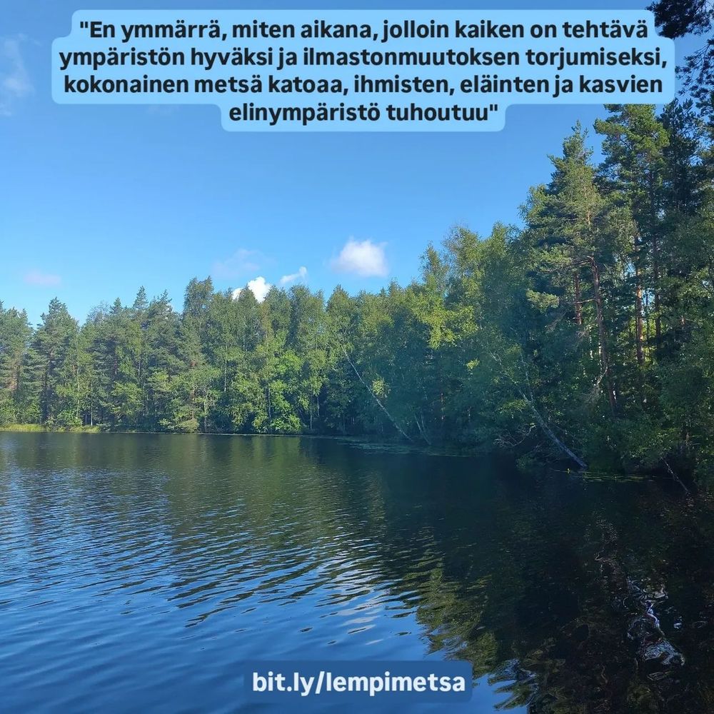 Kesäinen Rajajärven itäranta.
