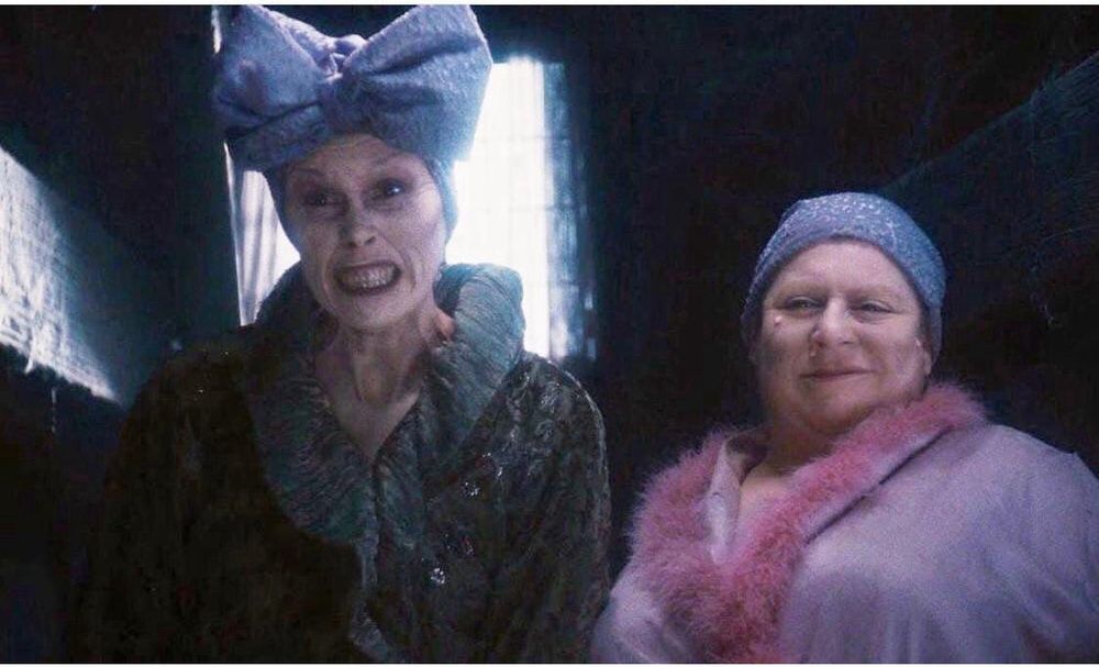 The aunts from James and the giant peach looking mean and evil in their robes