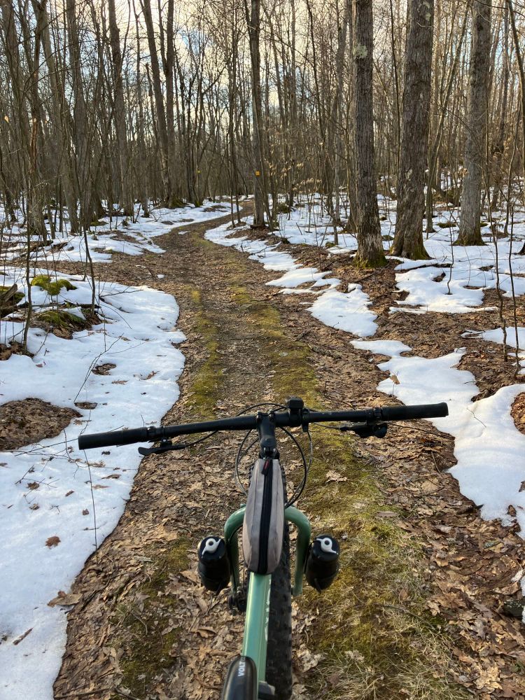 View over the handlebars of a mountain bike showing a path through the woods with some snow on the ground. 