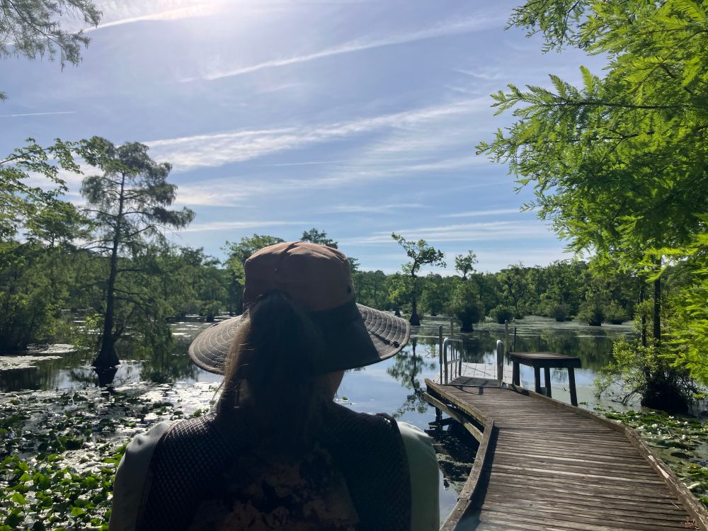 Silhouette of woman from behind looking out at a pond with lily pads, trees, and a wooden dock on a sunny day. 