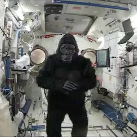 Mark Kelly on the international space station wearing a full on gorilla suit that he smuggled into space to freak out his fellow astronauts. Spoiler: he did. You should watch the video if you have not.