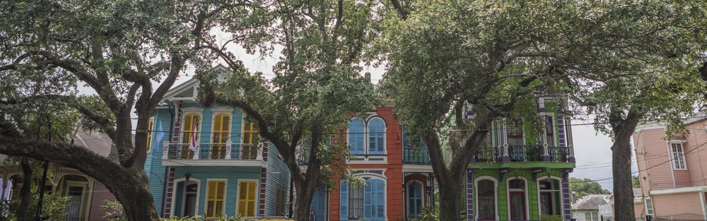 Three colored houses in the Treme neighborhood in New Orleans. Large oak trees shade the foreground.