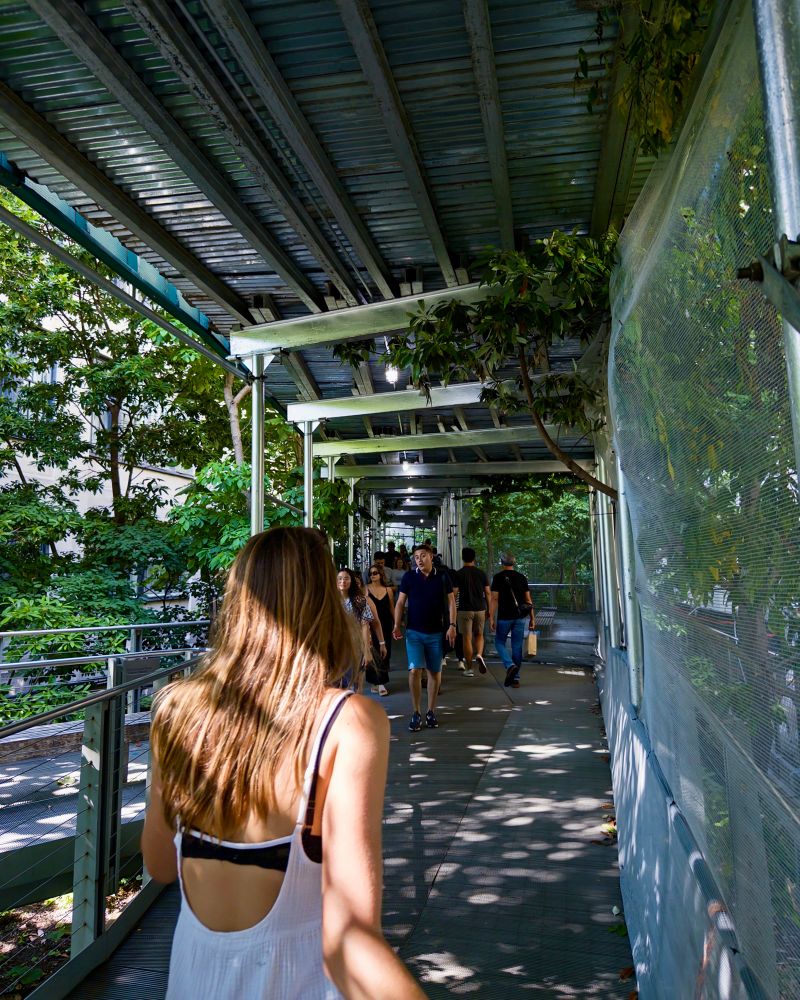 People walking through greenery in High Line park, NYC.