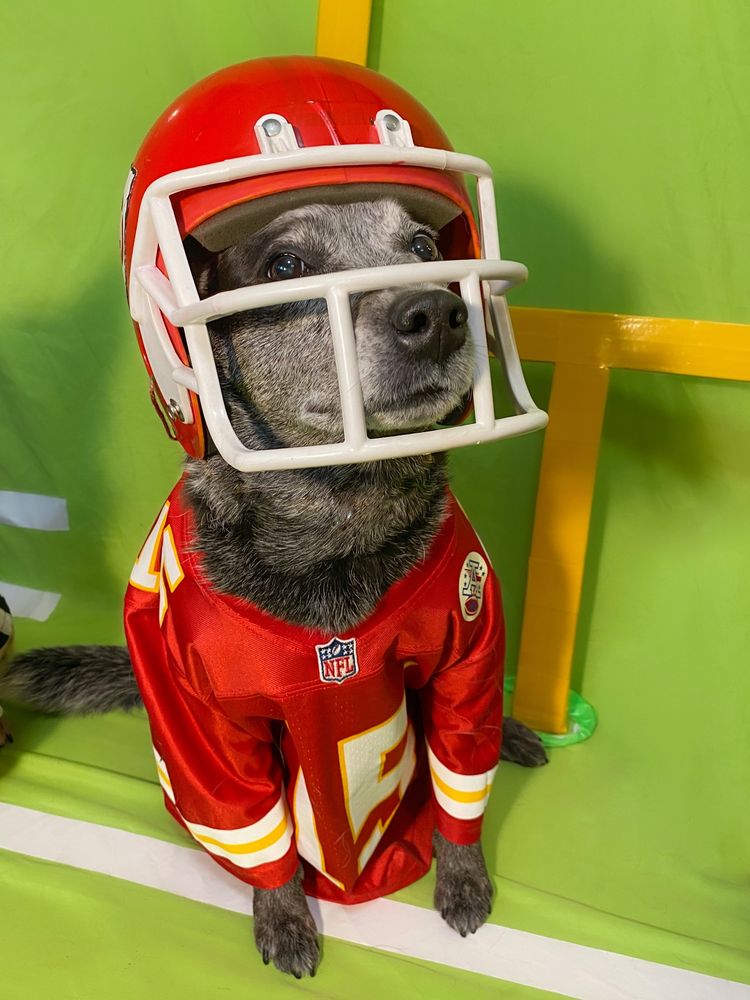 Pup Mahomes