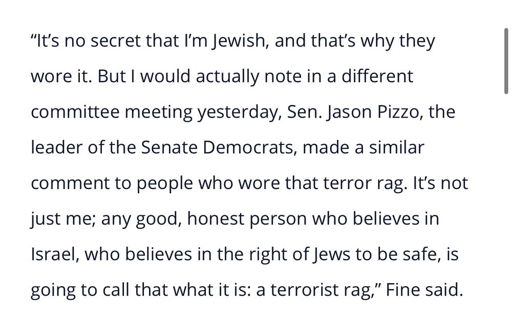 Screenshot of news story “It’s no secret that I’m Jewish, and that’s why they wore it. But I would actually note in a different committee meeting yesterday, Sen. Jason Pizzo, the leader of the Senate Democrats, made a similar comment to people who wore that terror rag. It’s not just me; any good, honest person who believes in Israel, who believes in the right of Jews to be safe, is going to call that what it is: a terrorist rag,” Fine said.”