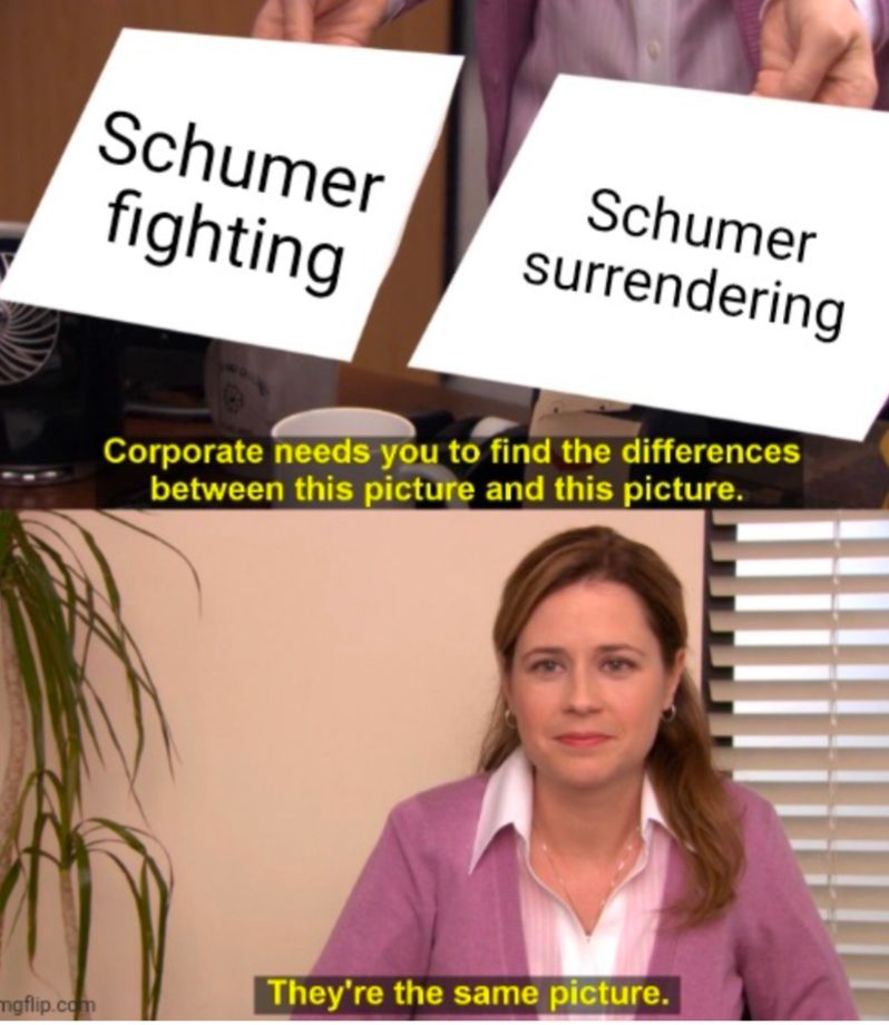 The Office meme
Schumer fighting
Schumer surrendering

They're the same picture