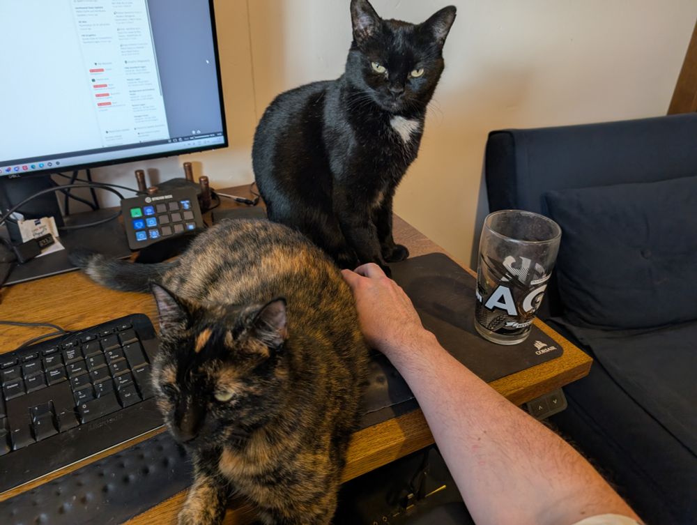 Two cats sitting on my desk in the way
