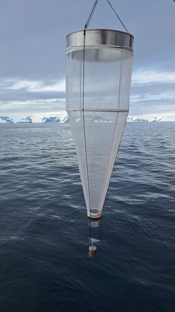 Modified WP3 net for jellyfish sampling