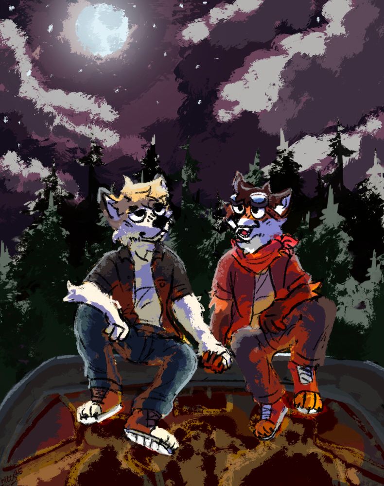 Two furries looking up at the stars