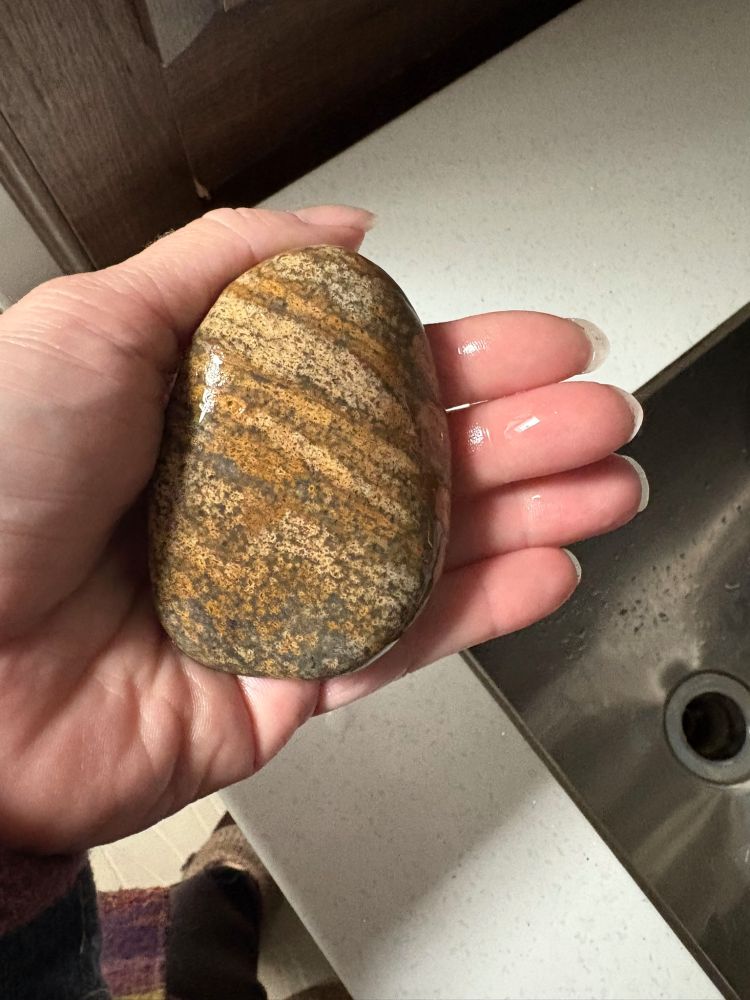 Back side of the same rock as the first photo. 

A rock held in my hand over a sink. The rock is 2 inches by 3 inches, very hard, semi smooth, and has stripes across it. Colors are all browns, beige, and a tiny bit of orange.