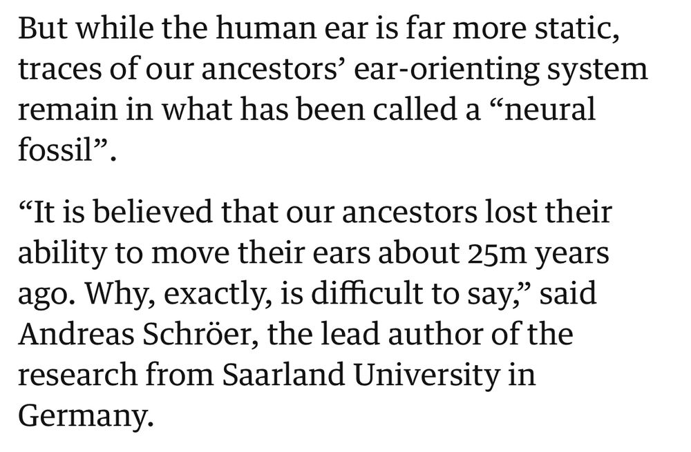 Guardian article explaining that our ancestors were able to move their ears to hear better, but lost the ability about 25m years ago.