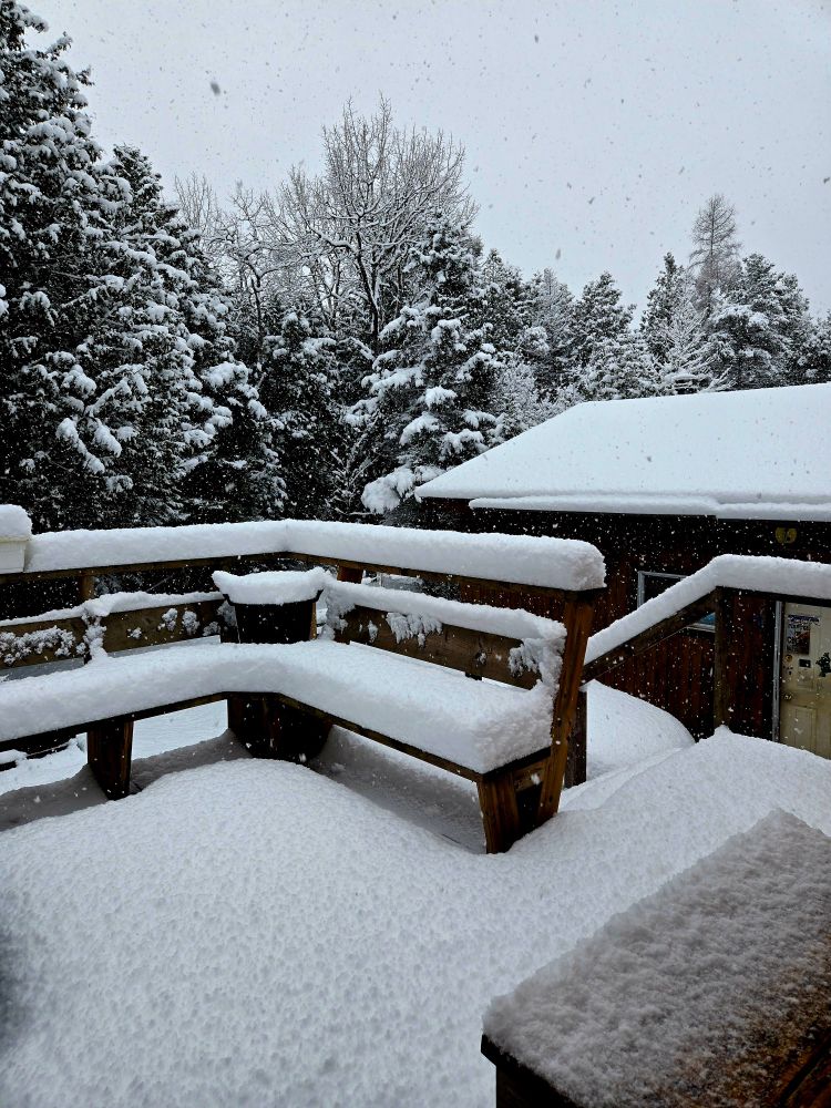 Snow on the deck 