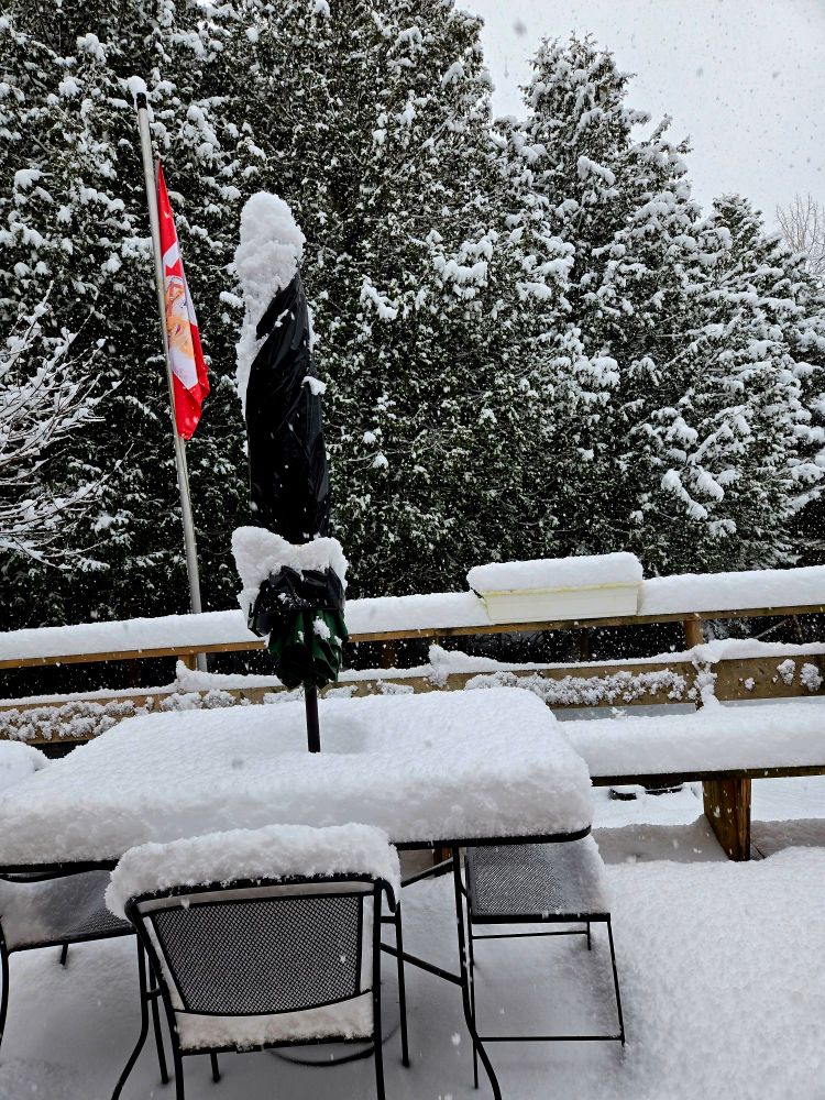 Snow on my picnic table 