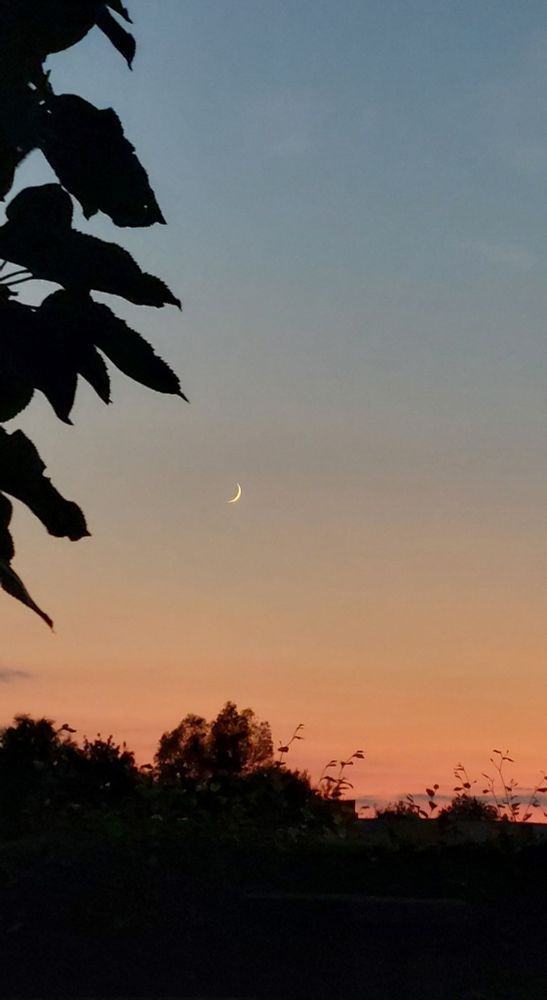 Aktueller Abendhimmel, die schmale Sichel des Mondes ist erkennbar 