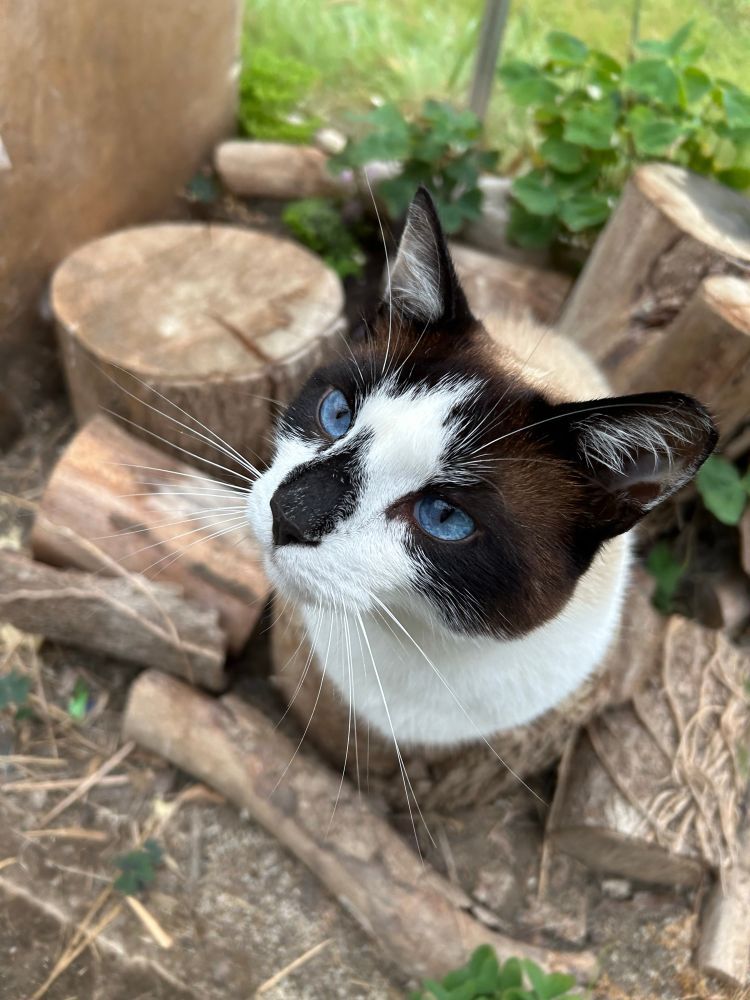 Coco. 