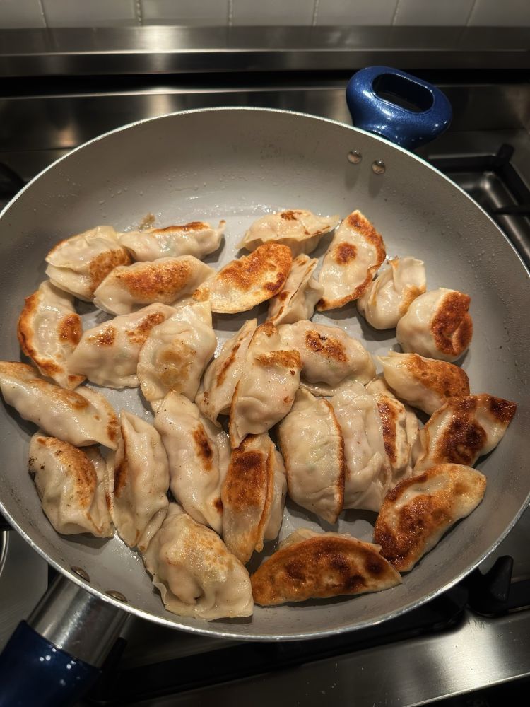 26 pan seared and steamed dumplings in a hot pan