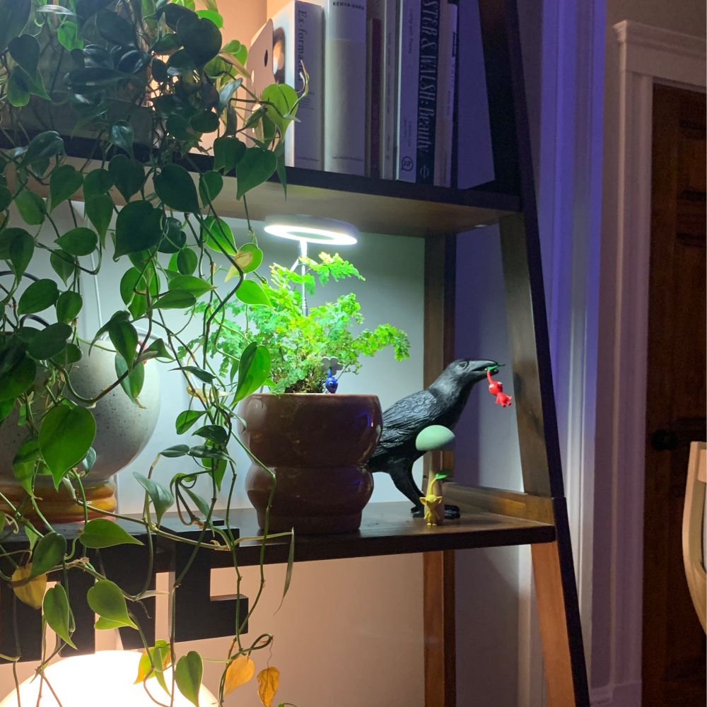 Pikmin arranged on a bookshelf with books, plants, and lighting. A red Pikmin is in a 3D printed crow’s beak