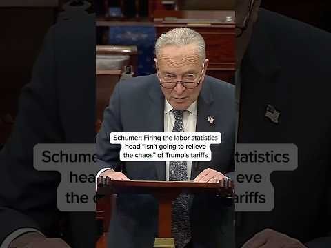 Schumer: Firing the labor statistics head 'isn't going to relieve the chaos' of Trump's tariffs