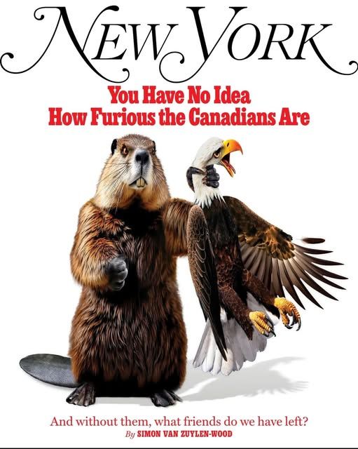 Cover illustration from The New Yorker, depicting a beaver throttling an American Eagle. 