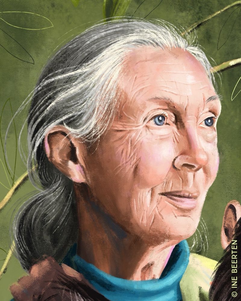 Closeup of my portrait illustration of Jane Goodall.