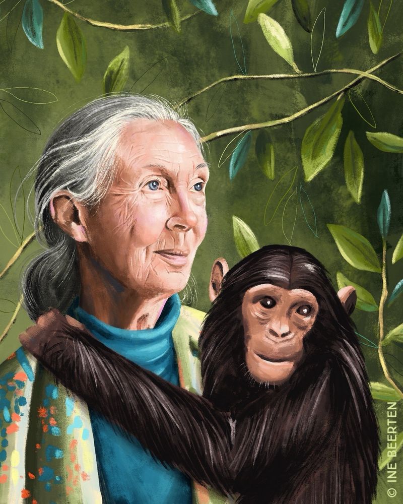 Portrait illustration of Jane Goodall holding an ape. 