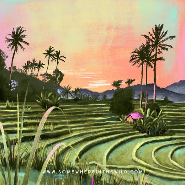 Illustration of the beautiful rice terraces in Sidemen, Bali. I highly recommend visiting Sidemen if you come to Bali!
The image shows the terraces in shades of warm green and  a vibrant orange sunset sky. In the back there are silhouettes of palmtrees and there's a small hut with a birght magenta roof.