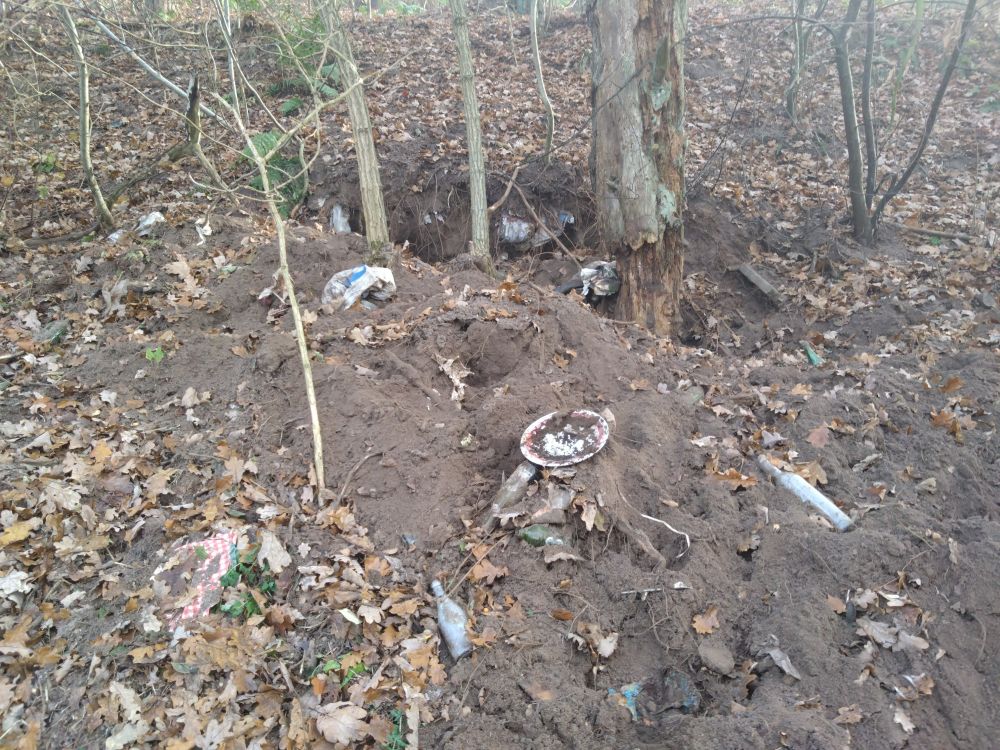 Sopor och ett grävlingsgryt?