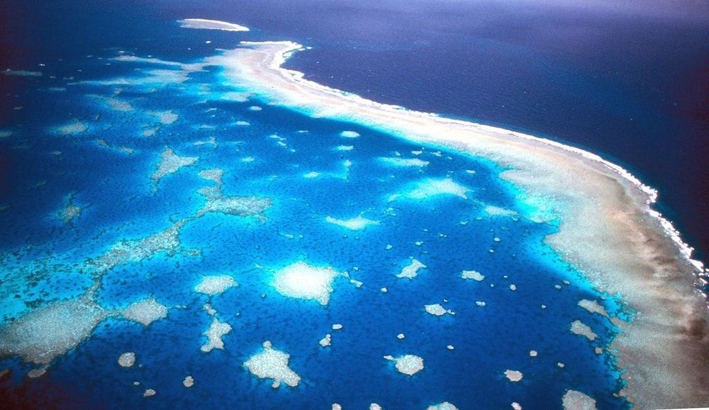 Great Barrier Reef in Australien hat „seinen Todesstoß erhalten“ – Forscherin