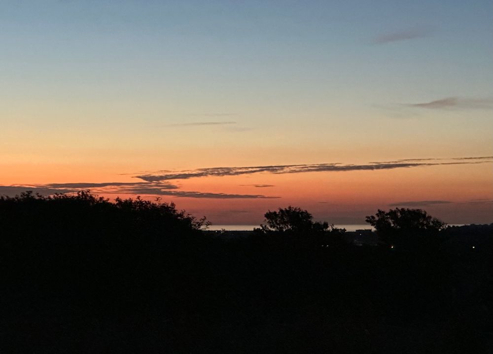 An orange skyline with a tiny blue strip of sea above the silhouettes of the bushes