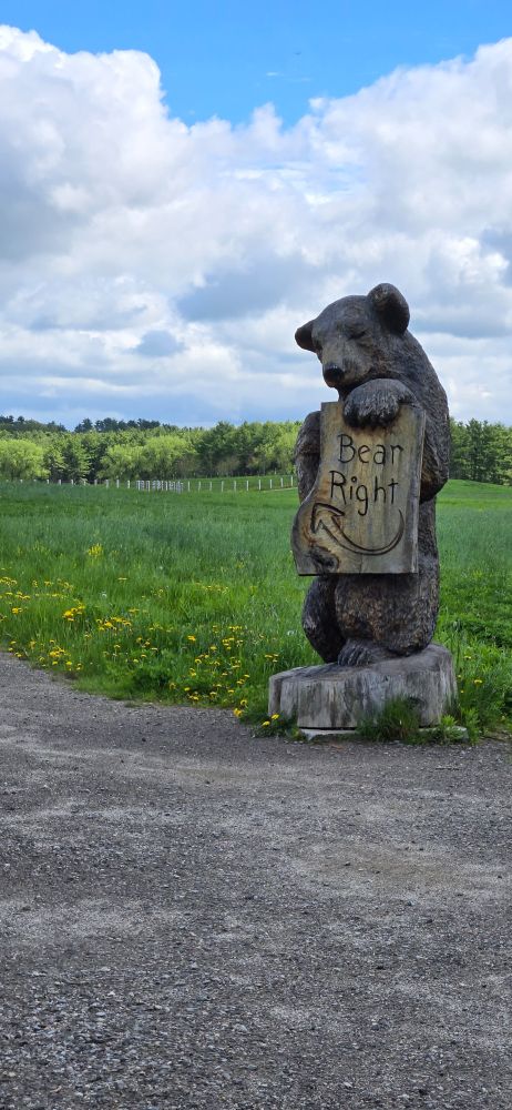 A carved wooden statue of a bear holding a sign which reads "bear right" but points to the left 