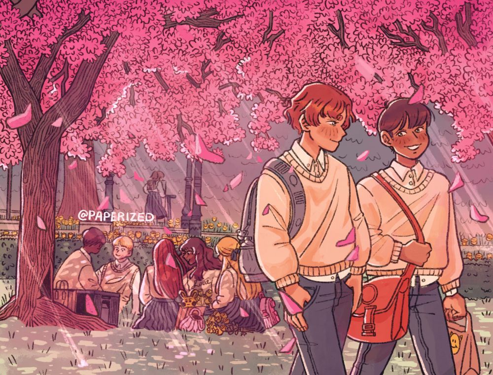 Pink cherry blossoms falling from the trees in a park where students are hanging out