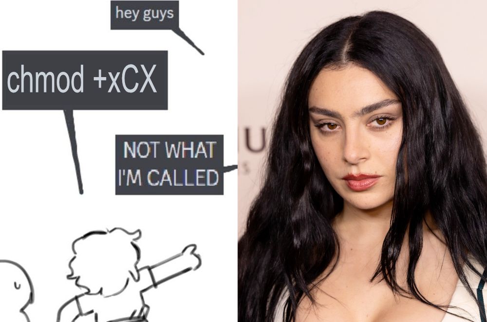a meme showing two people pointing at a picture of charli xcx. speech bubbles go: "hey guys" "chmod +xCX" "NOT WHAT IM CALLED"
