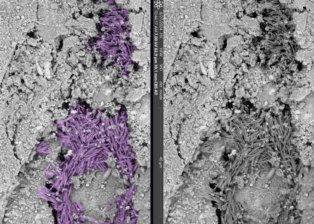 Image of asteroid bennu with false colour added to sodium salts, as compared to original grayscale