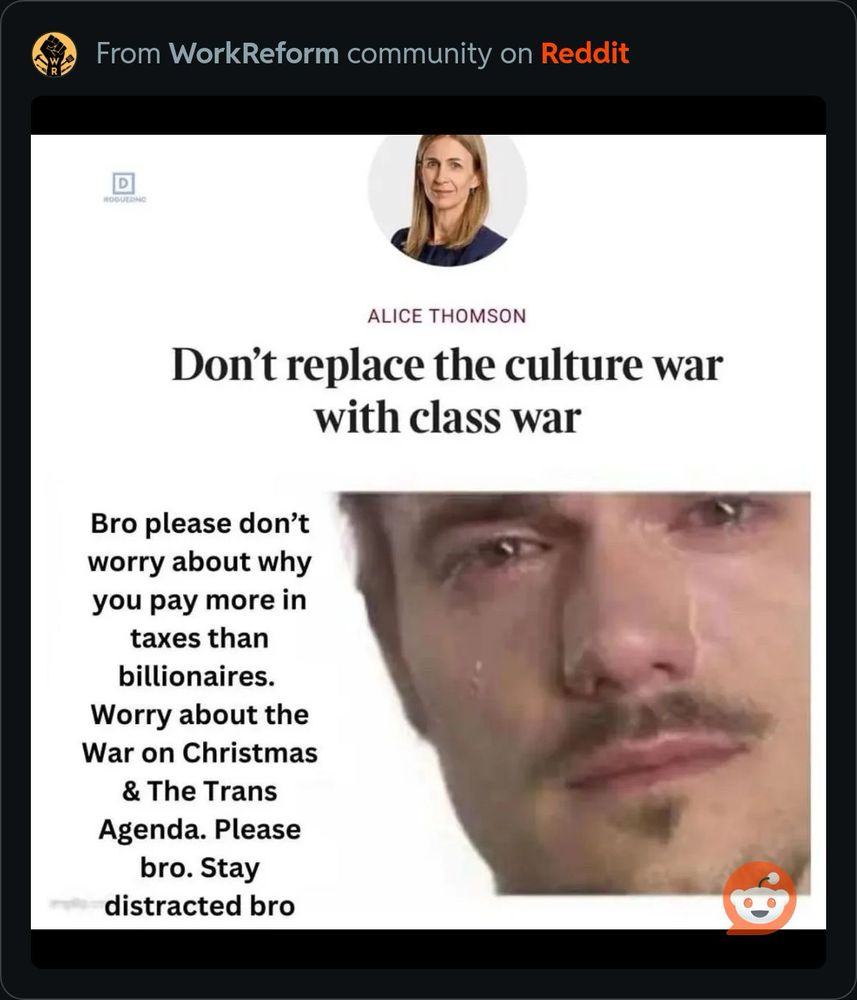 Meme from an article with the title : Don’t replace the culture war with class war and then  the face of a sad person crying stating: Bro please don’t worry about why you pay more in taxes than billionaires. 