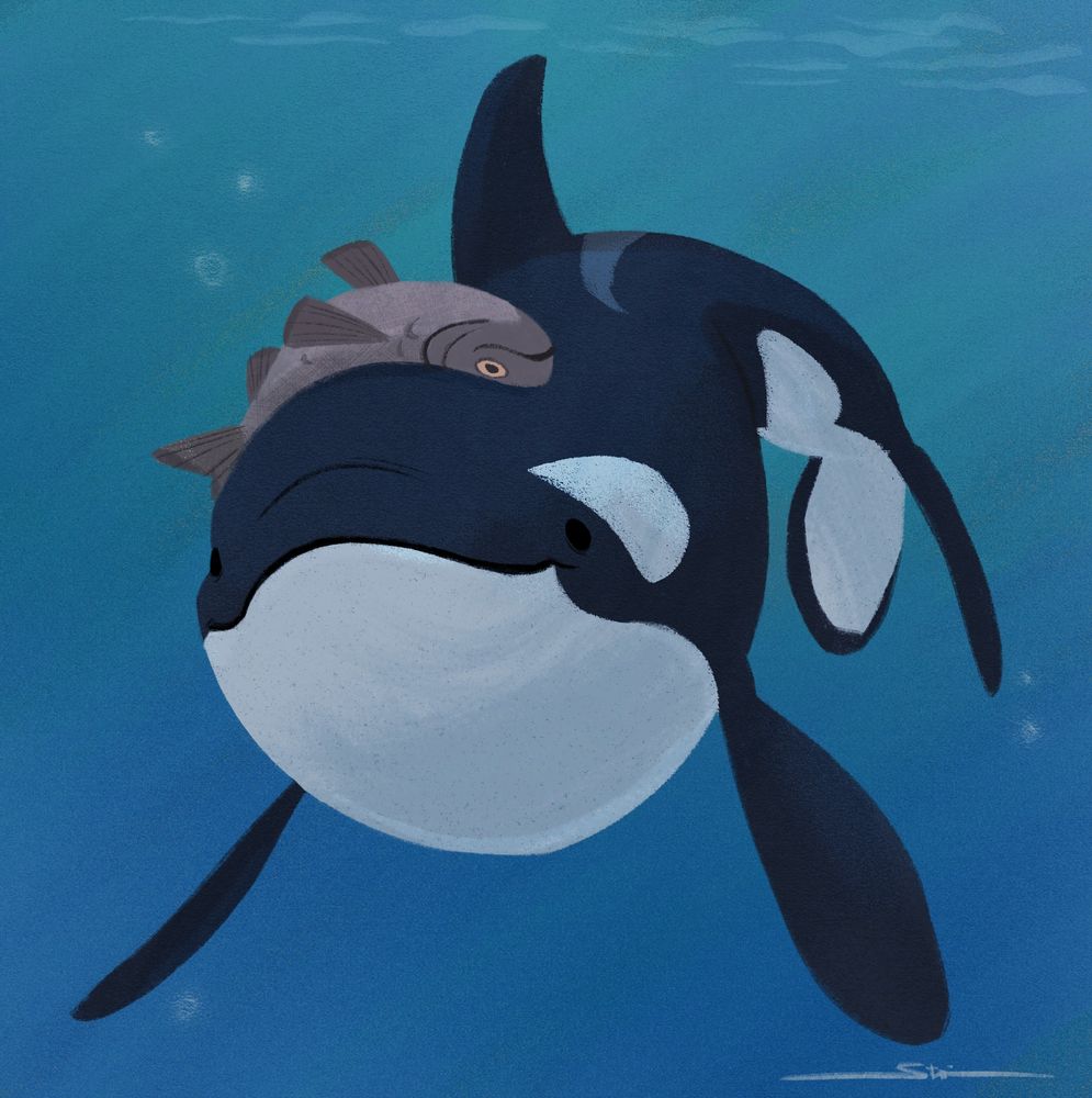 Not just an Orca, but an Orca with flair 