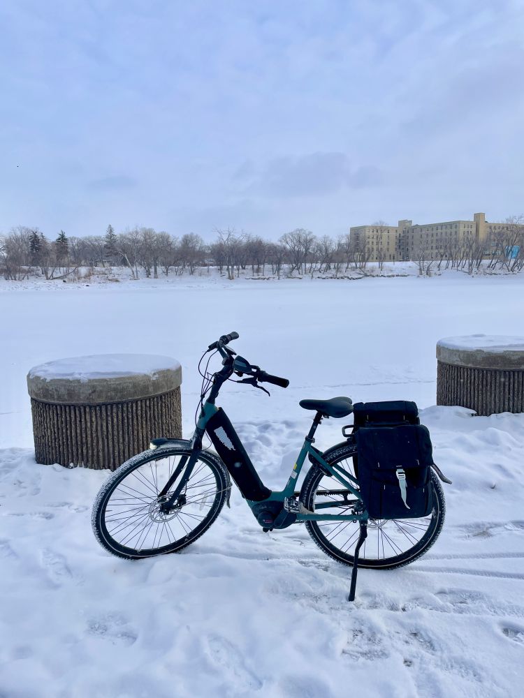 Gazelle Arroyo C5 in the snow at the forks river walkway. Winnipeg, MB.