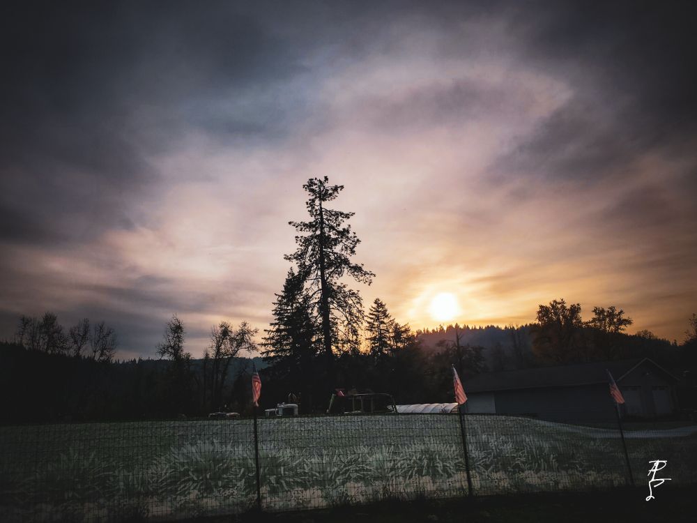 Sunset from last night with a solar halo 