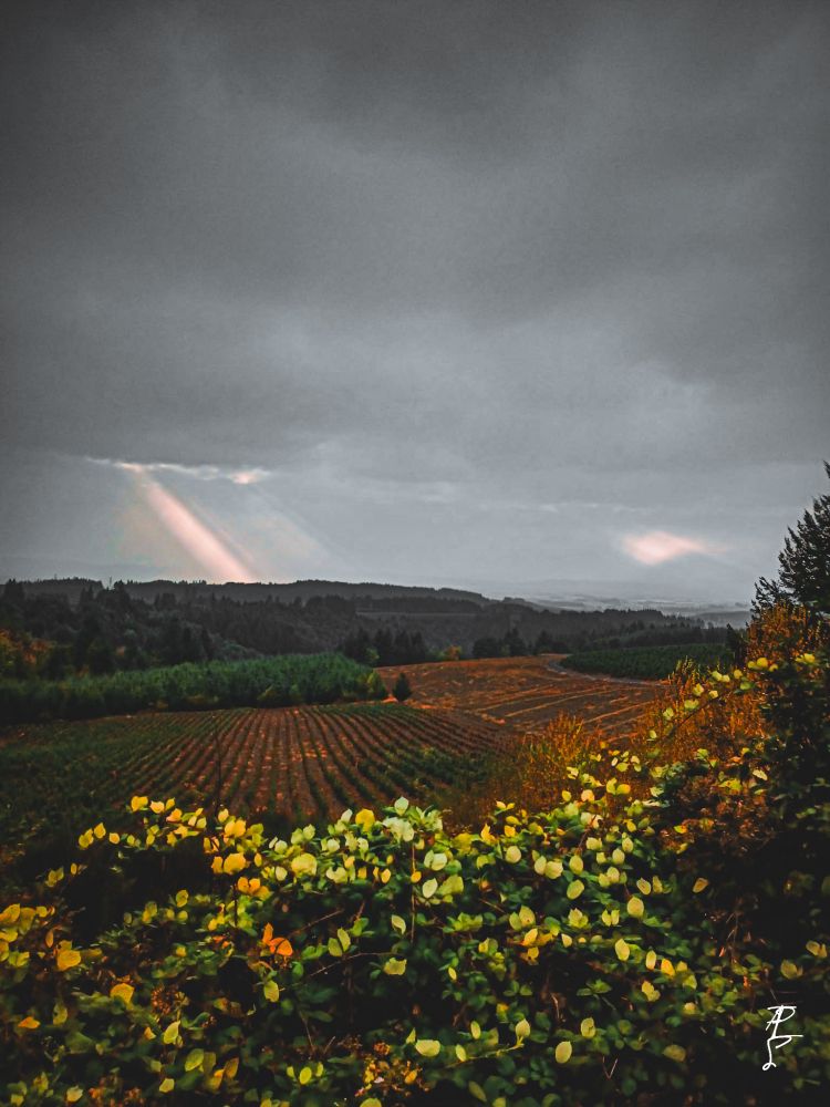 Sunlight piercing thru the clouds 
