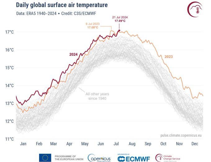 Die tägliche globale Temperatur an der Erdoberfläche seit 1940 über das Jahr hinweg aufgetragen. Sie schwankt zwischen 11 und 13 Grad im Nordwinter und 15 und 17 Grad im Nordsommer. Es ist klar zu erkennen, dass die Glockenkurven früher niedriger waren und in der Gegenwart immer höher sind. Der Peak ist der 21. Juli 2024 mit einer gemessenen globalen Durchschnittstemperatur von 17.09°C.