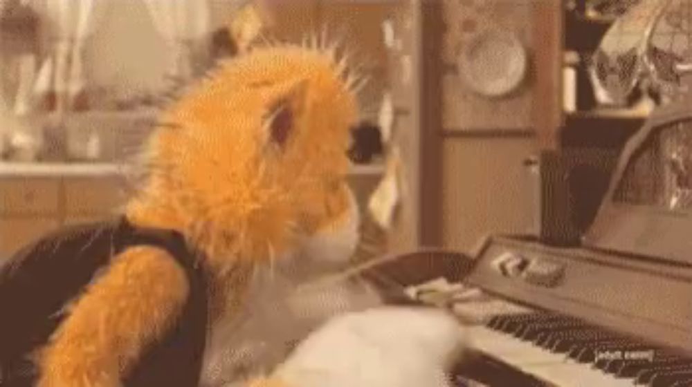 a stuffed cat is playing a piano keyboard in a kitchen .