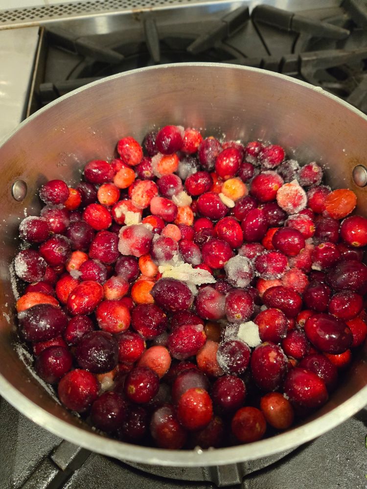 Cranberries, visible sugar and ginger bits.